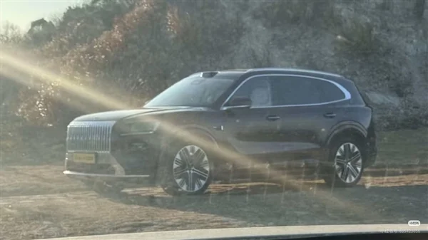 寶馬X5國產平替 極氪8X實車出街